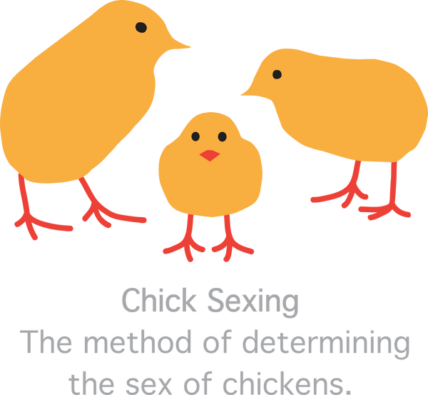 Chick Sexer - Womens Shirt - Wear Blue Tree